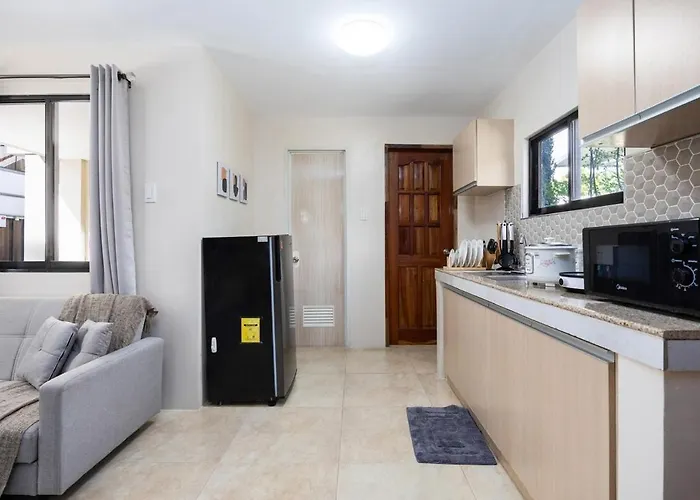 Apartment Fully Furnished 3br House In With Parking And Washer Cebu